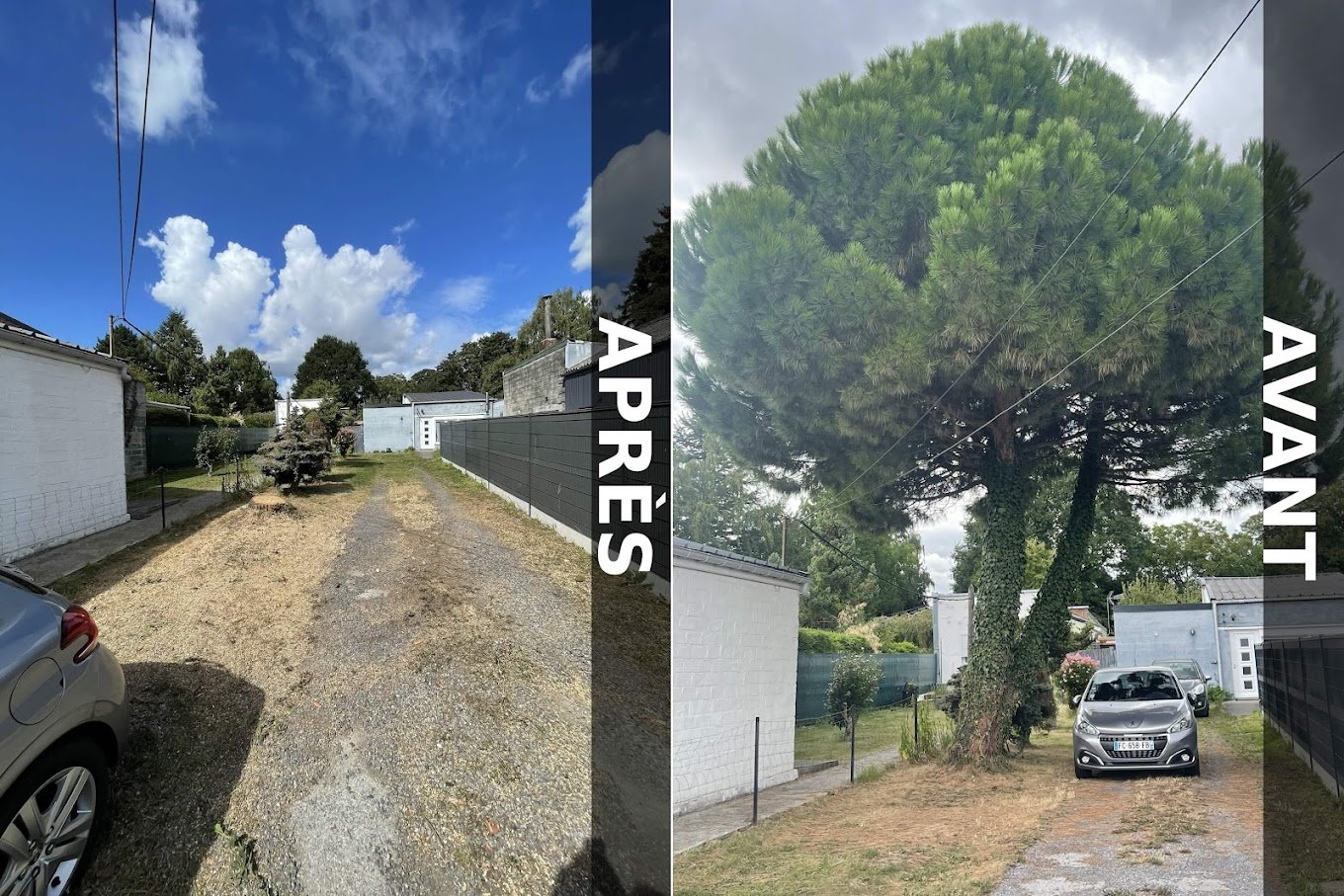 Élagage et abattage d'arbres