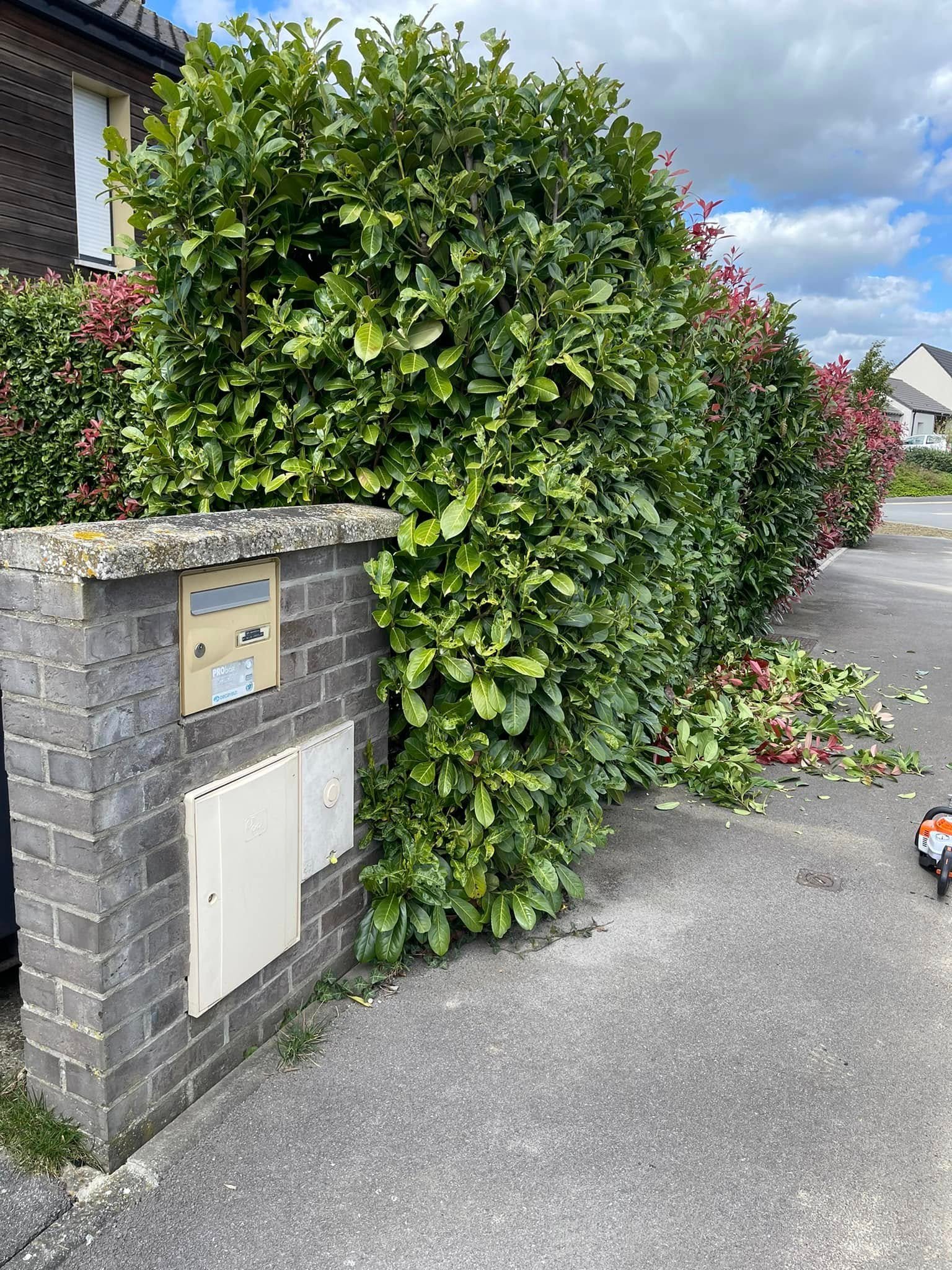 Réalisation paysagère 1