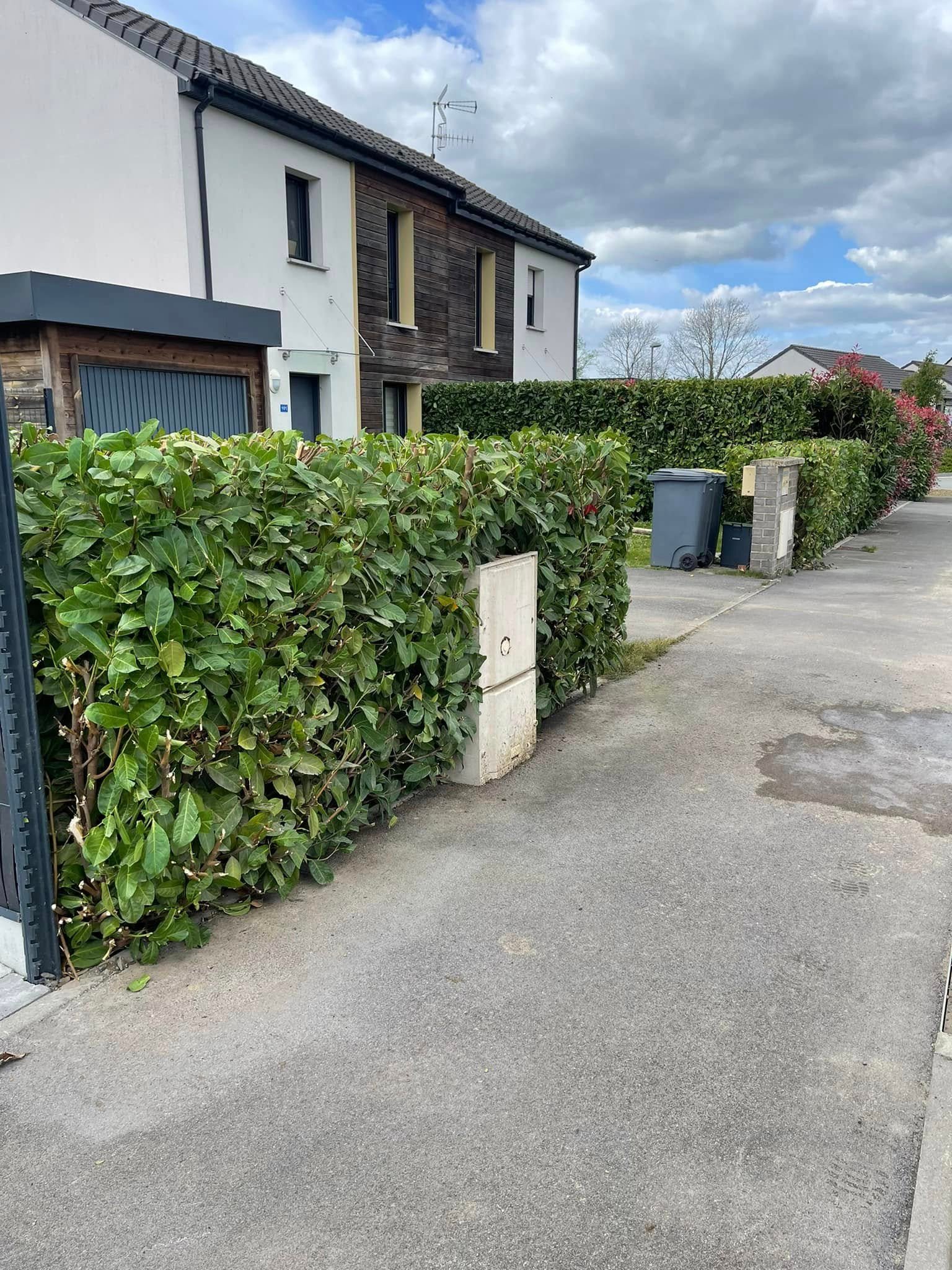 Réalisation paysagère 2