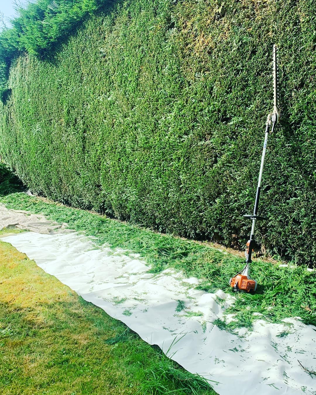 Entretien de parcs et jardins